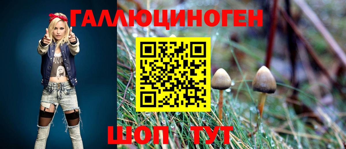 Псилоцибиновые грибы прущие грибы Ханты-Мансийск