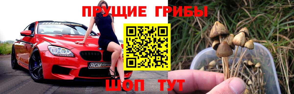 Ханты-Мансийск  Галлюциногенные грибы Cubensis  Галлюциногенные грибы ЛСД  Вход с VPN 